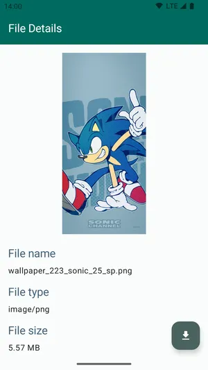 Save Locally Share2Storage